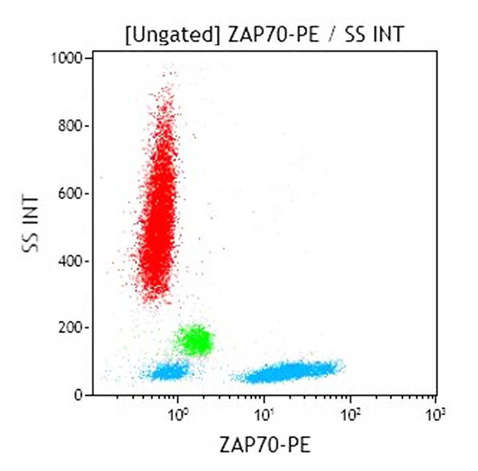B10248_ZAP-70-PE, SBZAP, 1 mL, ASR